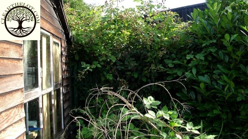 Garden clearance cost