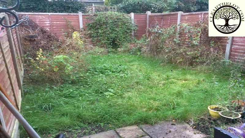 garden clearance