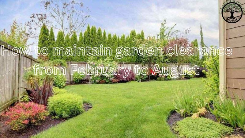 Garden Clearance | Garden clearance near me