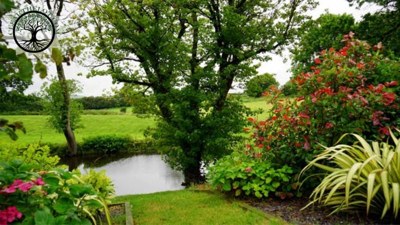 Garden Clearance | Garden clearance near me | Overgrown Garden Clearance