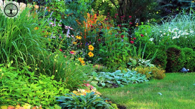 Garden Clearance | Customized garden clearance